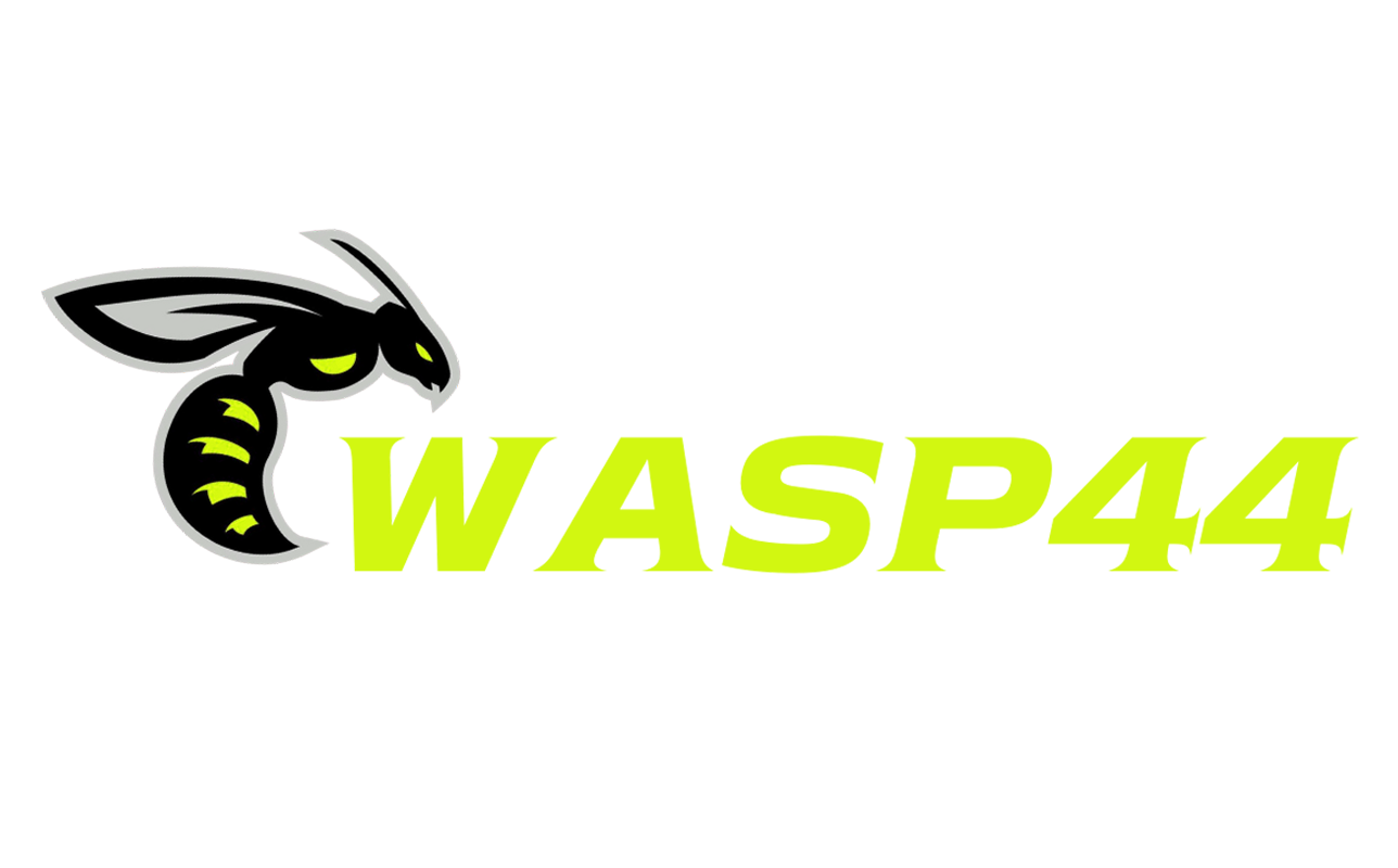 wasp44.info